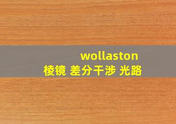 wollaston棱镜 差分干涉 光路